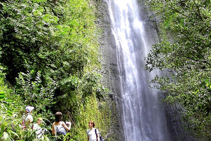 Mānoa Falls